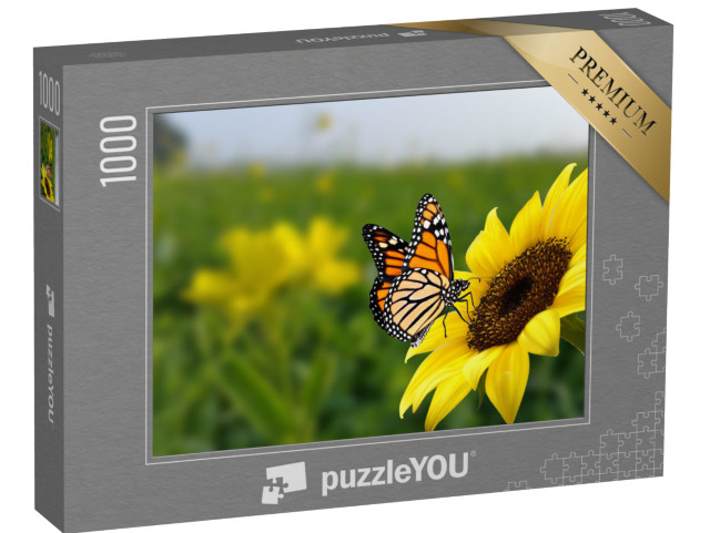 puzzle 1000 dílků „Motýl monarcha na slunečnici“