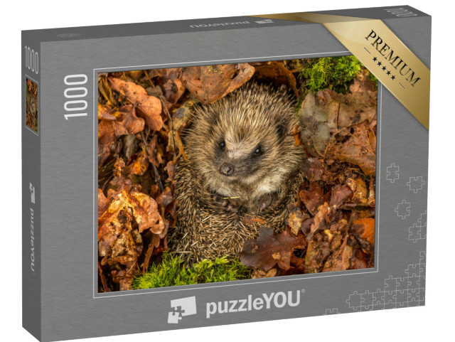 puzzle 1000 dílků „Ježek v listí“