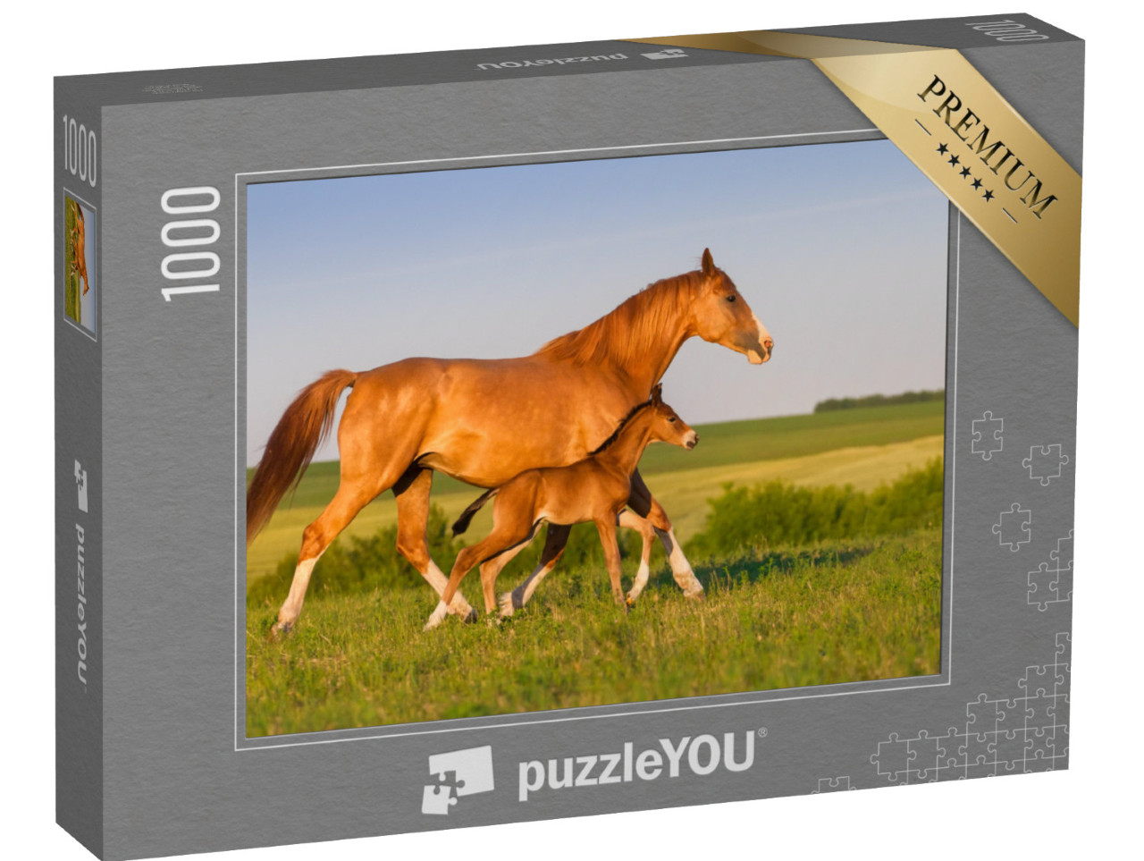 puzzle 1000 dílků „Klisna s hříbětem při východu slunce“