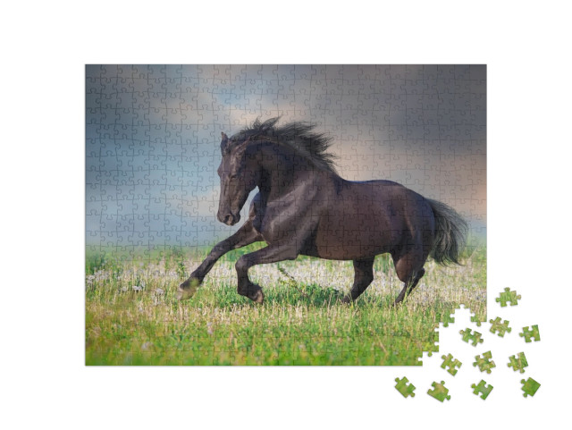 puzzle 500 dílků „Fríský kůň cválající na jarní zelené louce“