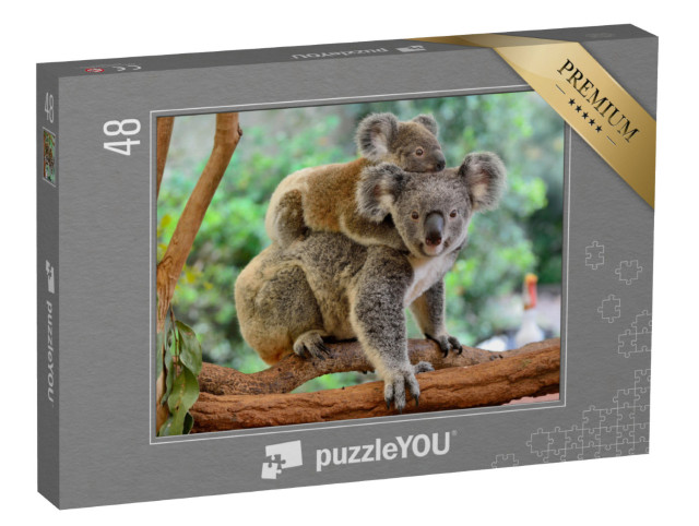 puzzle 48 dílků „Matka koala s mládětem na zádech na eukalyptovém stromě“