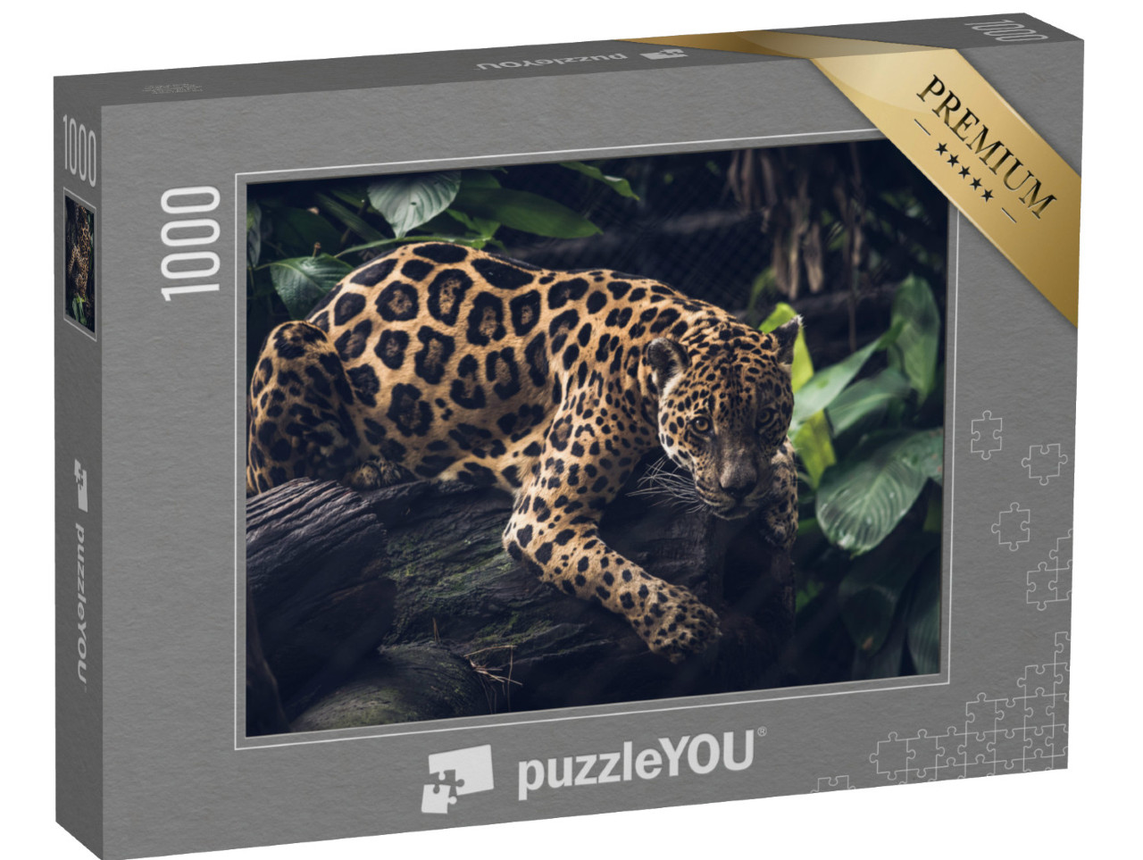 puzzle 1000 dílků „Jaguár, Panthera Onca“