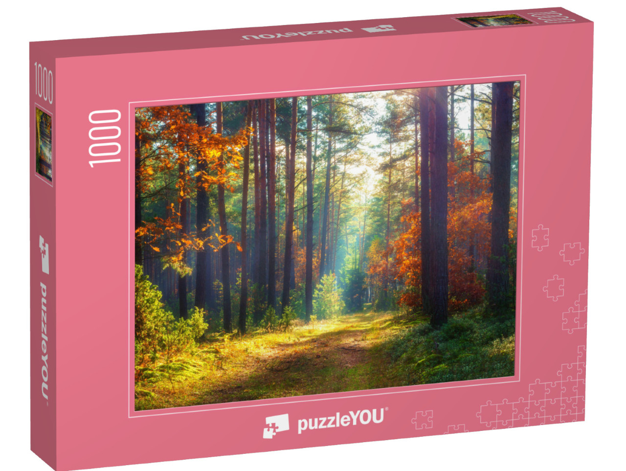 puzzle 1000 dílků „Podzimní přírodní krajina“