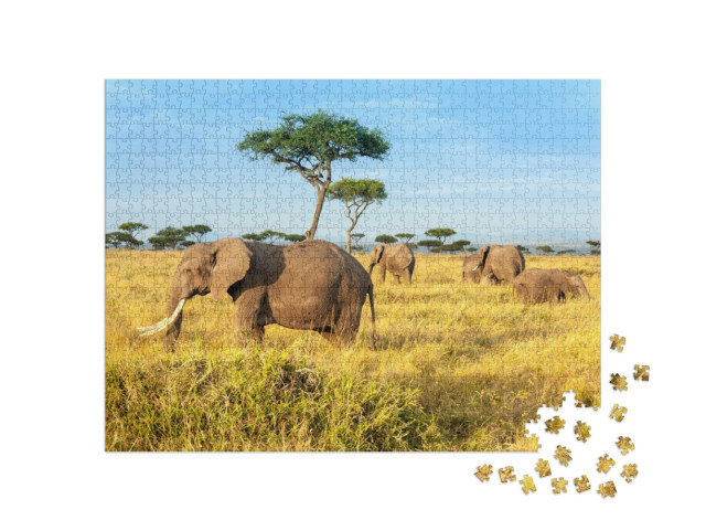 puzzle 1000 dílků „Sloni afričtí v národní rezervaci Maasai Mara, Keňa“