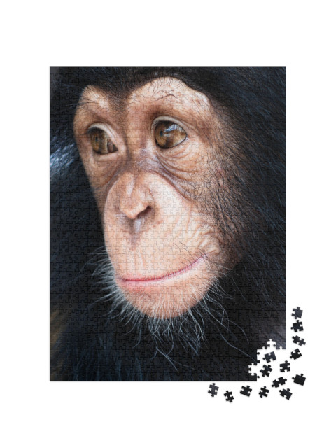 puzzle 1000 dílků „Detailní záběr opice smíšeného plemene“