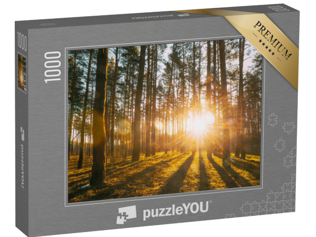 puzzle 1000 dílků „Sluneční paprsky v lese“