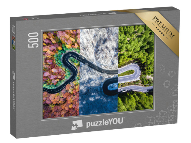 puzzle 500 dílků „Klikatá cesta lesem v průběhu ročních období“