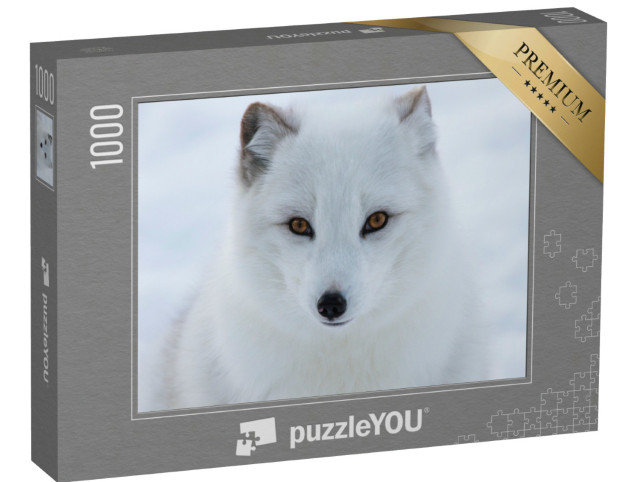 puzzle 1000 dílků „Portrét polární lišky“