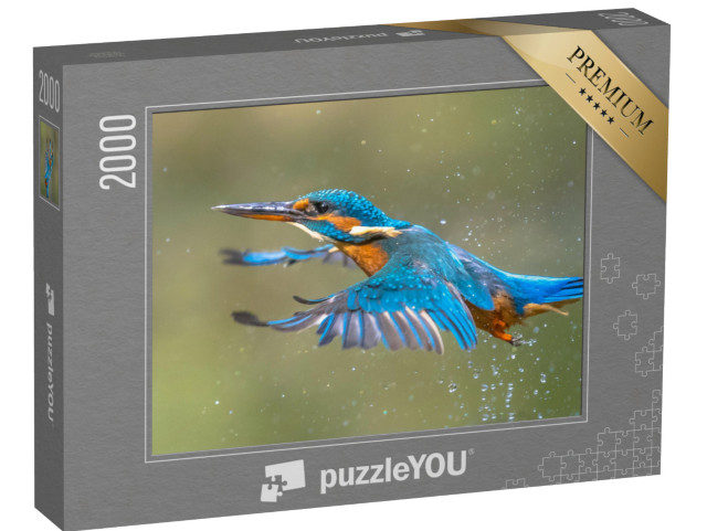 puzzle 2000 dílků „Zimolez královský vylétá z vody po vynoření z vody“