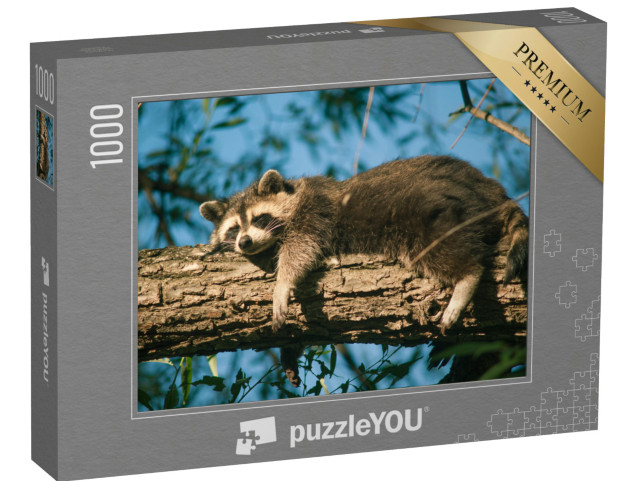 puzzle 1000 dílků „Vyčerpaný mýval si dává odpolední šlofíka“