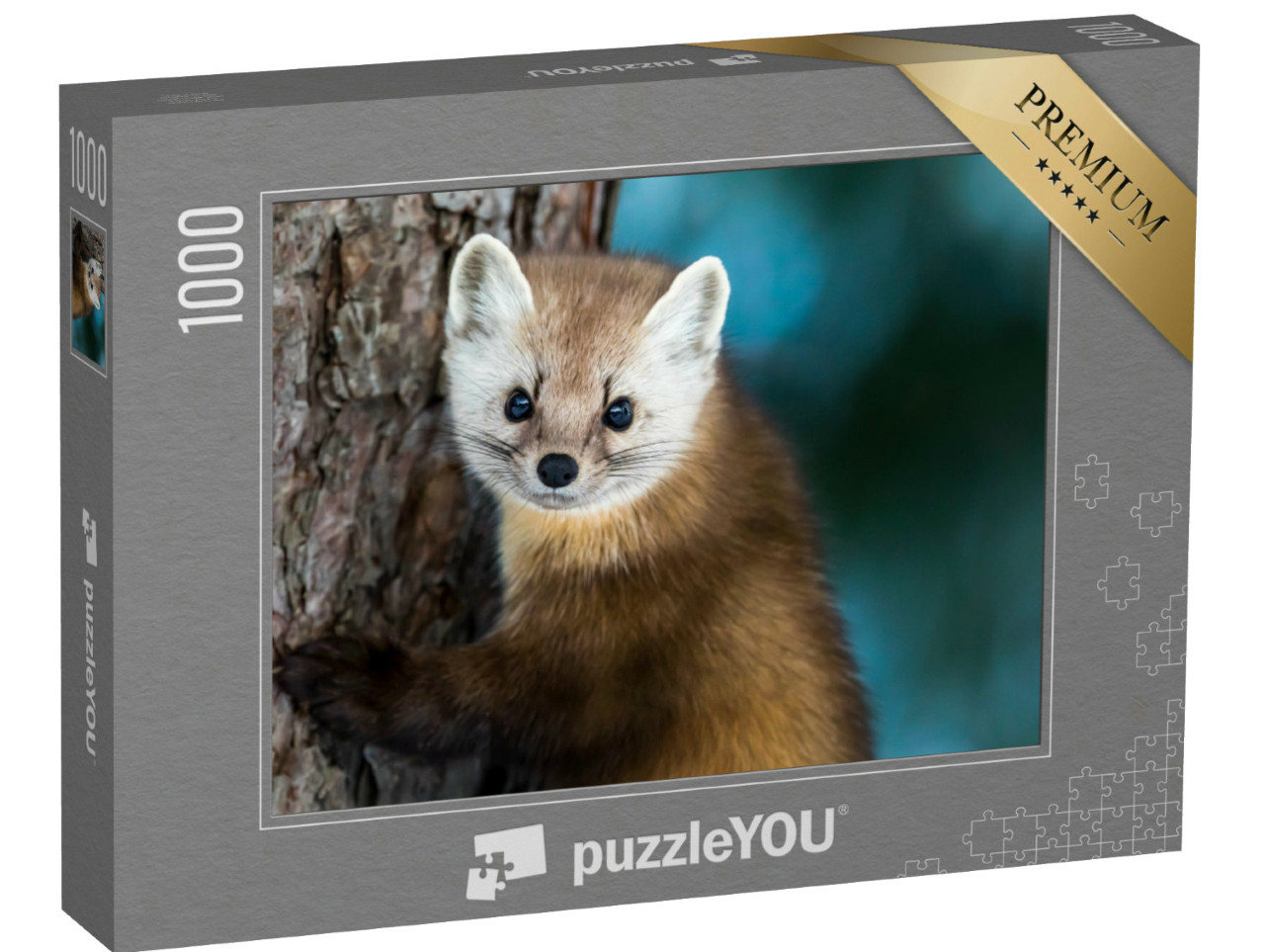 puzzle 1000 dílků „Kuna americká na kmeni borovice“