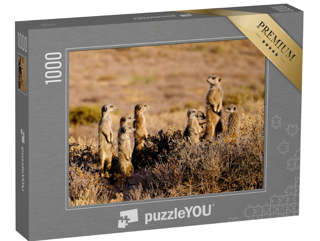 puzzle 1000 dílků „Roztomilá surikatí rodinka brzy ráno“