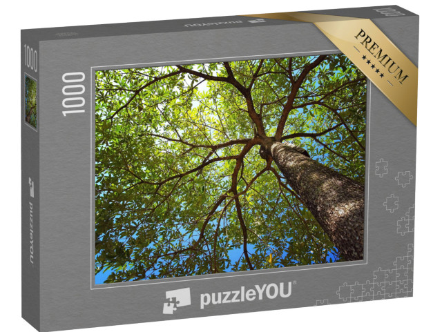 puzzle 1000 dílků „Koruny stromů v létě“