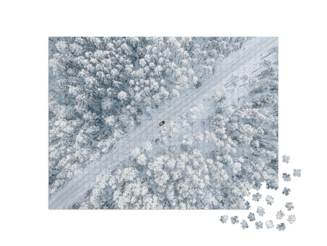 puzzle 1000 dílků „Zasněžená lesní cesta“