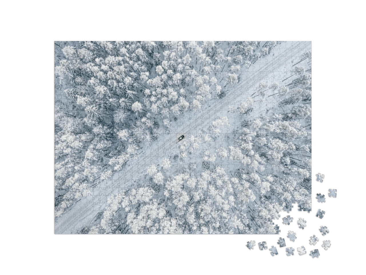 puzzle 1000 dílků „Zasněžená lesní cesta“