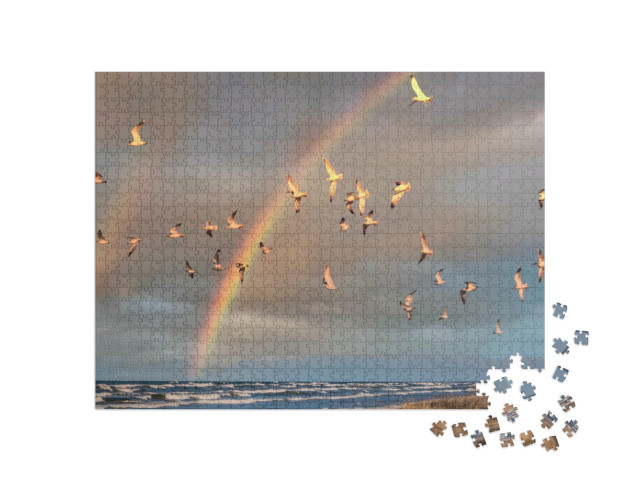 puzzle 1000 dílků „Hejno racků v letu pod duhou na Baltském moři“