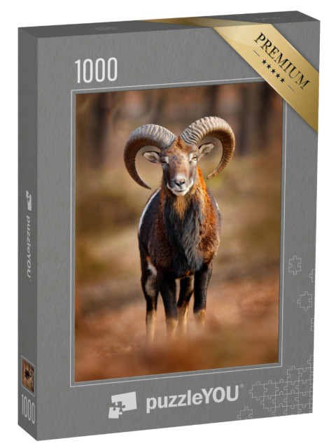 puzzle 1000 dílků „Muflon, savec s velkými rohy, Praha“