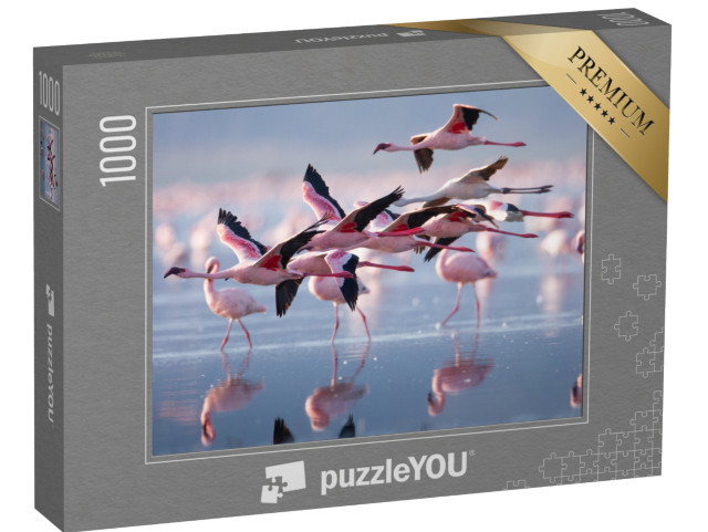 puzzle 1000 dílků „Skupina létajících plameňáků“