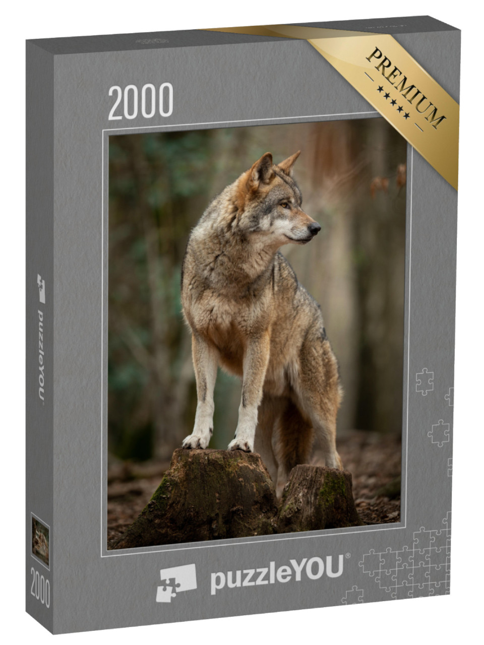 puzzle 2000 dílků „Šedý vlk v pachové póze v lese“