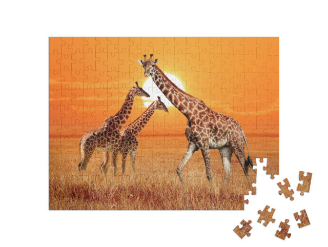 puzzle 200 dílků „Žirafa se dvěma mláďaty, Národní park Serengeti, Tanzanie“