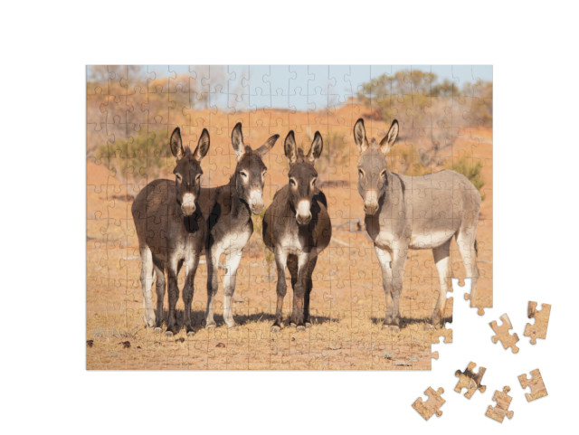 puzzle 200 dílků „Osli v australském vnitrozemí“