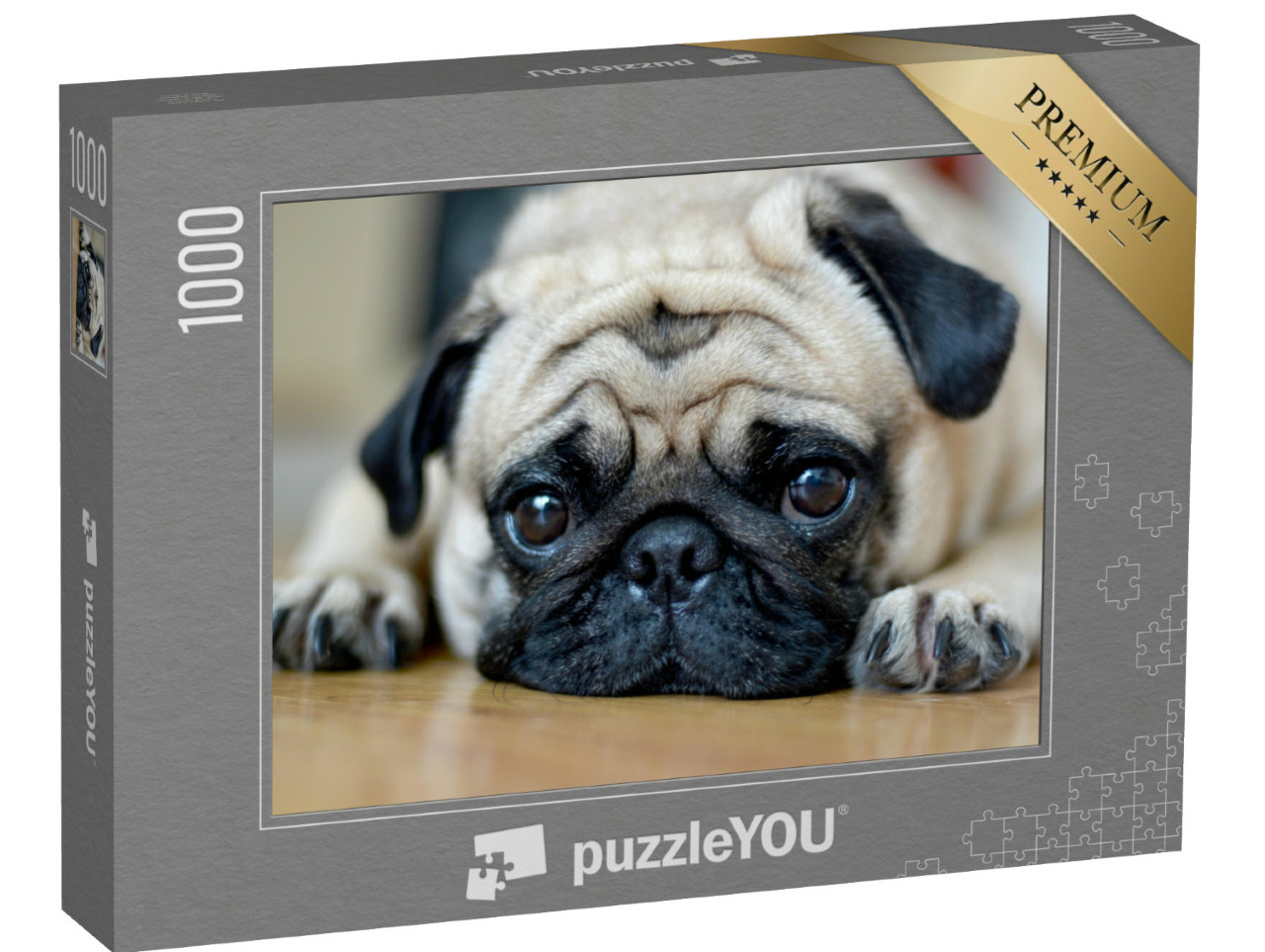 puzzle 1000 dílků „Mops s důvěřivým pohledem“