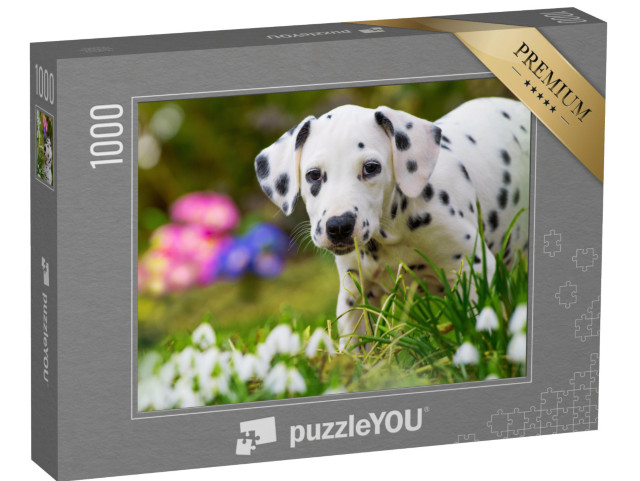 puzzle 1000 dílků „Štěně dalmatina s jarními květinami“