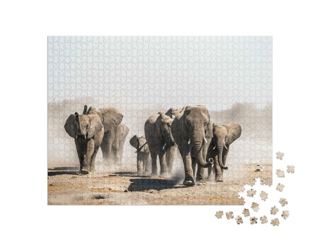 puzzle 1000 dílků „Stádo slonů u napajedla, Národní park Etosha, Namibie, Afrika“