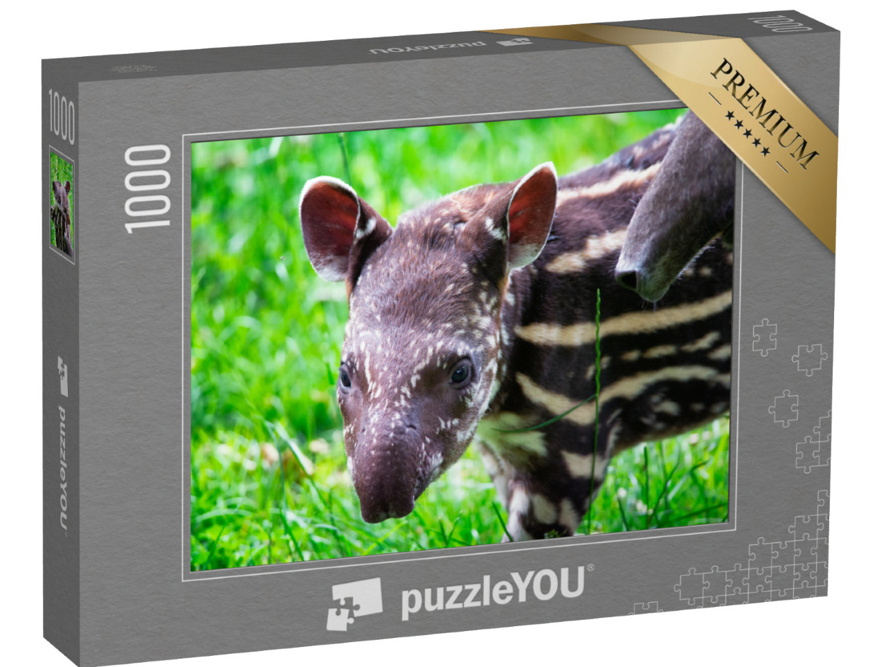 puzzle 1000 dílků „Devítidenní tapír v zelené trávě“