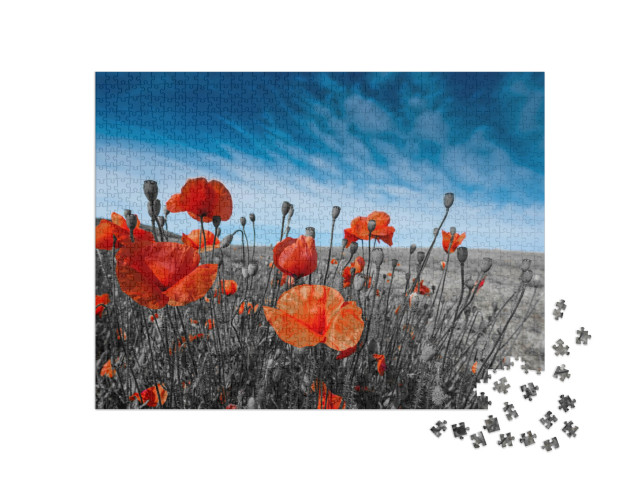 puzzle 1000 dílků „Vlčí máky na louce“