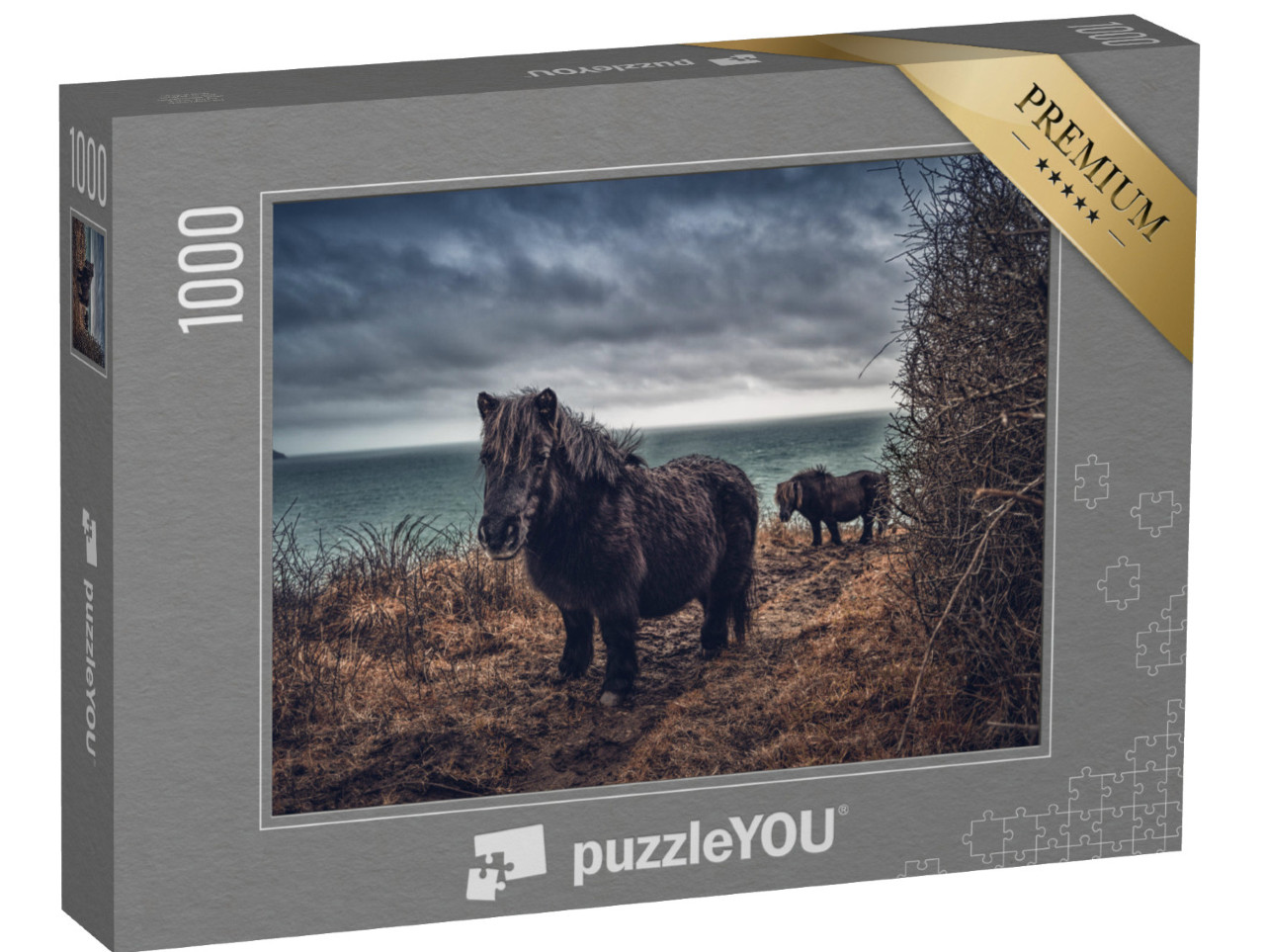 puzzle 1000 dílků „Shetlandští poníci na cornwallském pobřeží“