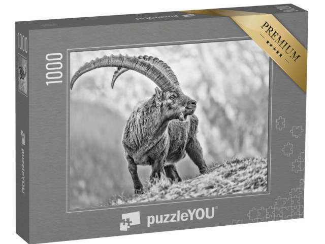 puzzle 1000 dílků „Portrét kozorožce alpského“