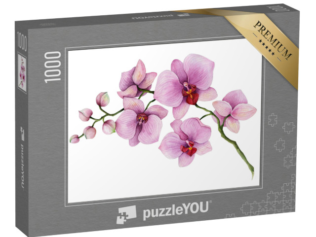 puzzle 1000 dílků „Větev orchideje na bílém pozadí“