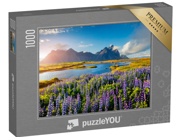 puzzle 1000 dílků „Rozkvetlé květy lupiny na pobřeží Islandu“