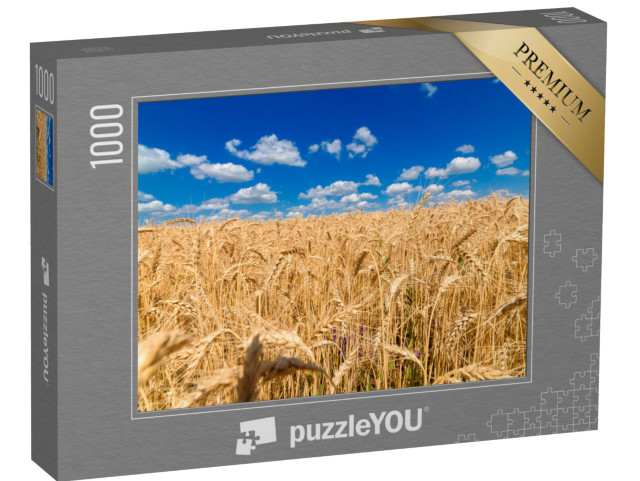 puzzle 1000 dílků „Zlaté pšeničné pole pod jasně modrou oblohou“