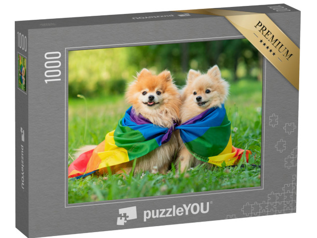 puzzle 1000 dílků „Dva šťastní přátelé pomeranianští špicové ležící na t“