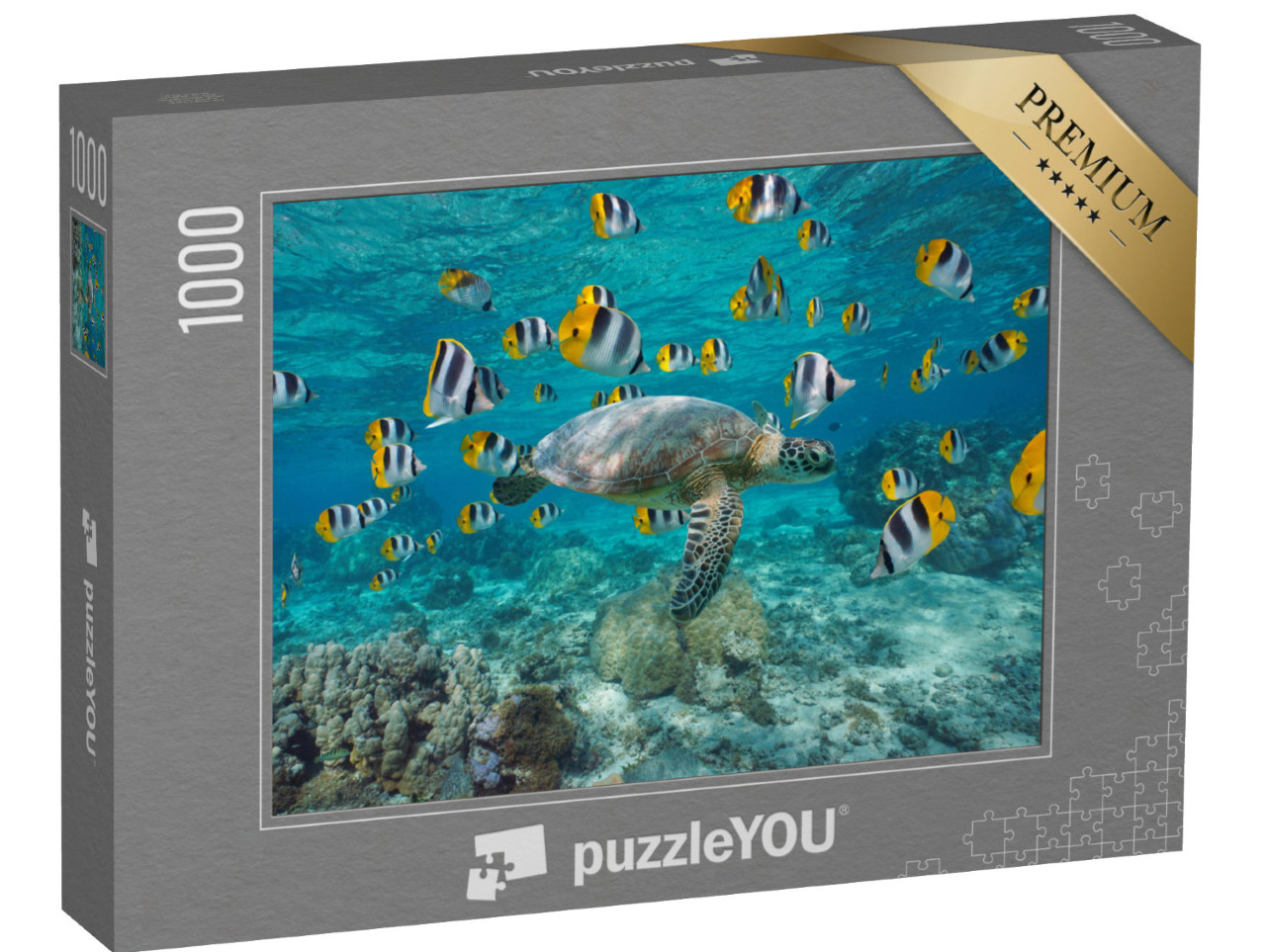 puzzle 1000 dílků „Mořská želva s hejnem tropických ryb, Polynésie“