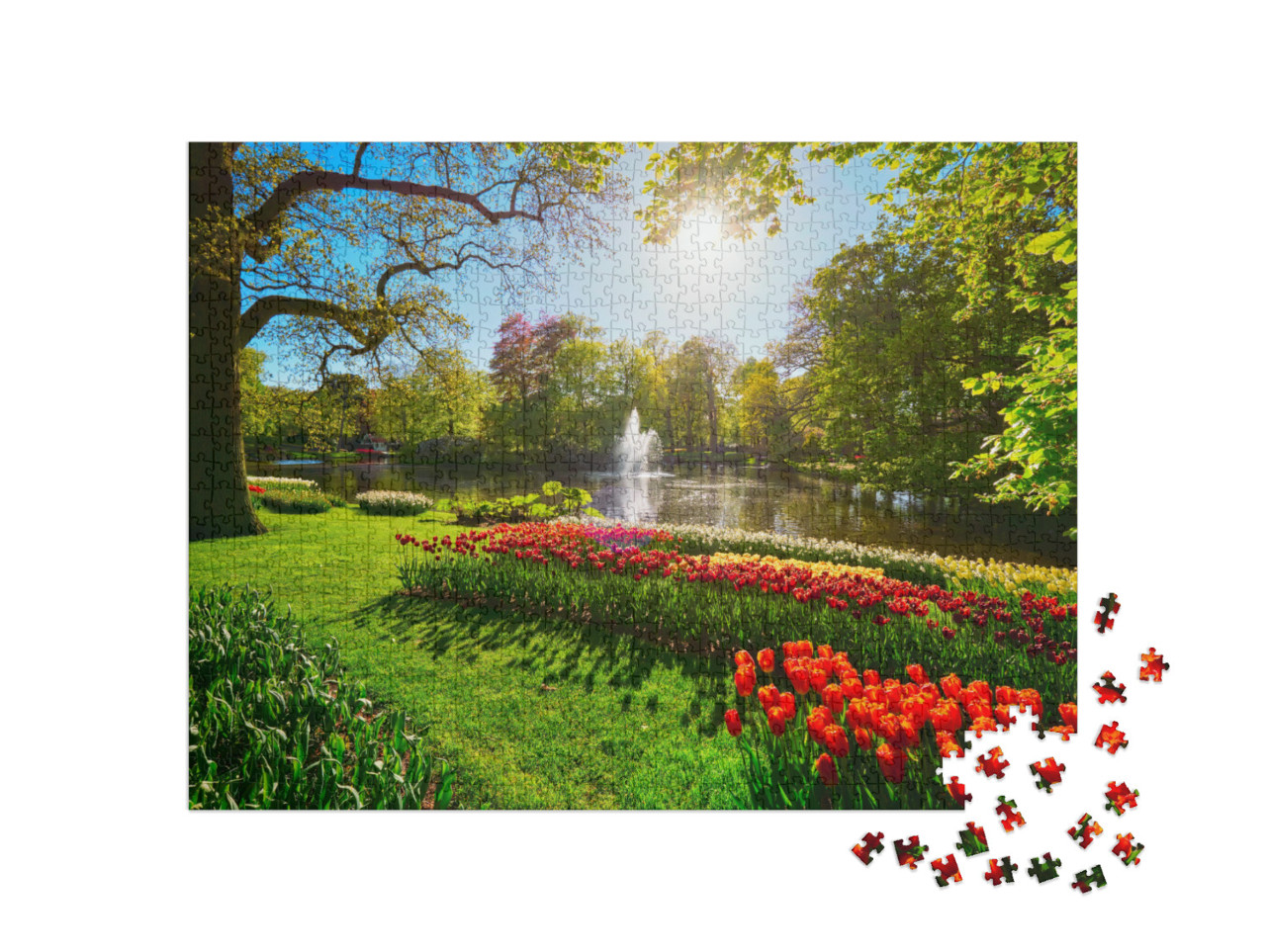 puzzle 1000 dílků „Keukenhof s kvetoucími tulipány, Lisse, Nizozemsko“