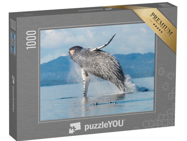 puzzle 1000 dílků „Keporkak v Broughtonově souostroví, Britská Kolumbie, Kanada“