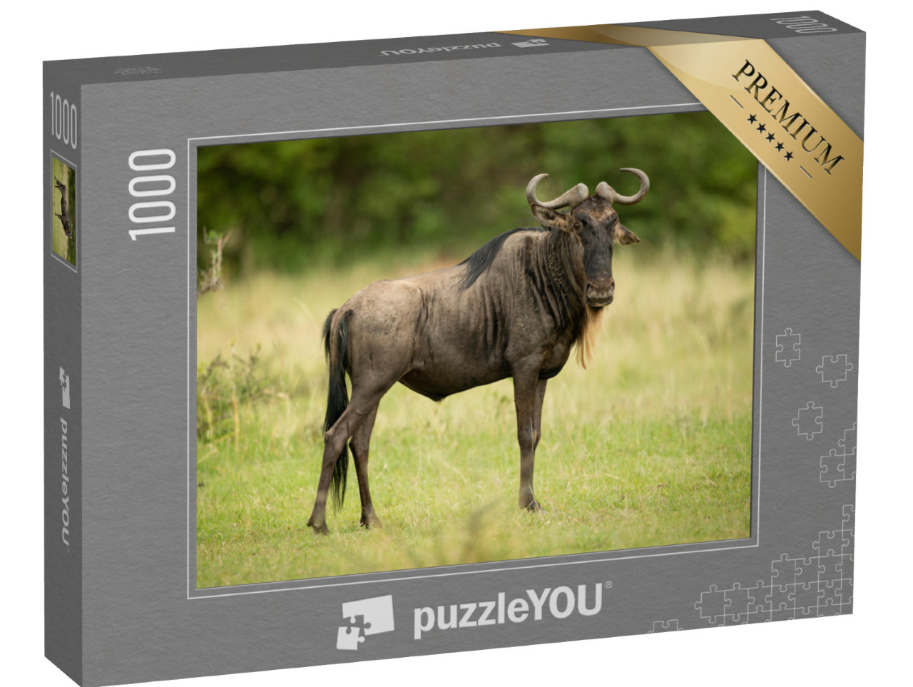 puzzle 1000 dílků „Pozorný pakůň modrý“