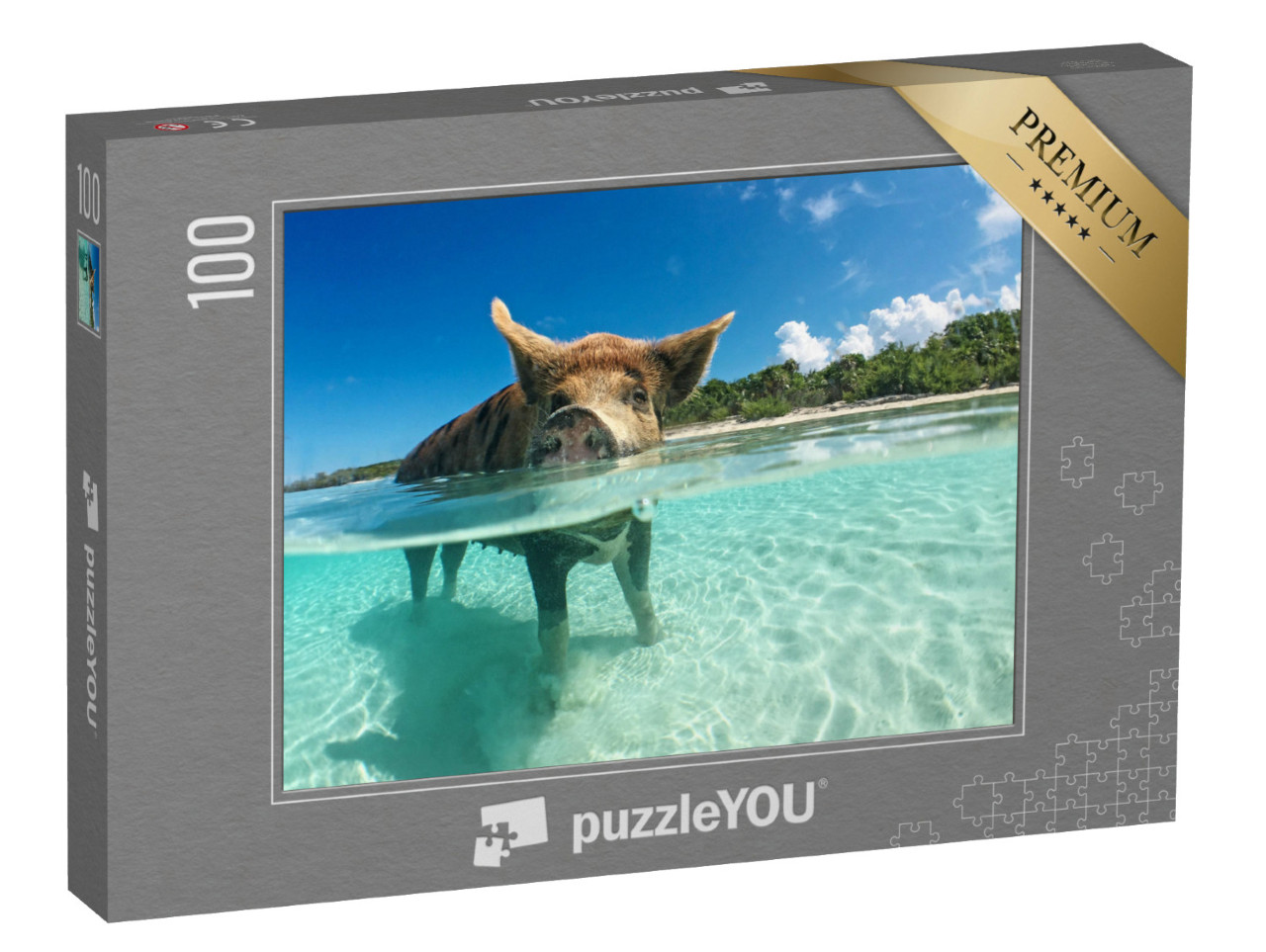 puzzle 100 dílků „Vodomilní divočáci na Bahamách, Karibik“