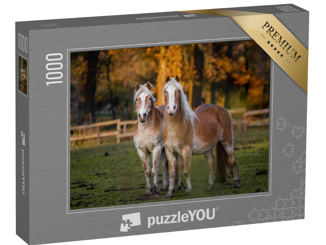 puzzle 1000 dílků „Dva koně na podzimní louce“