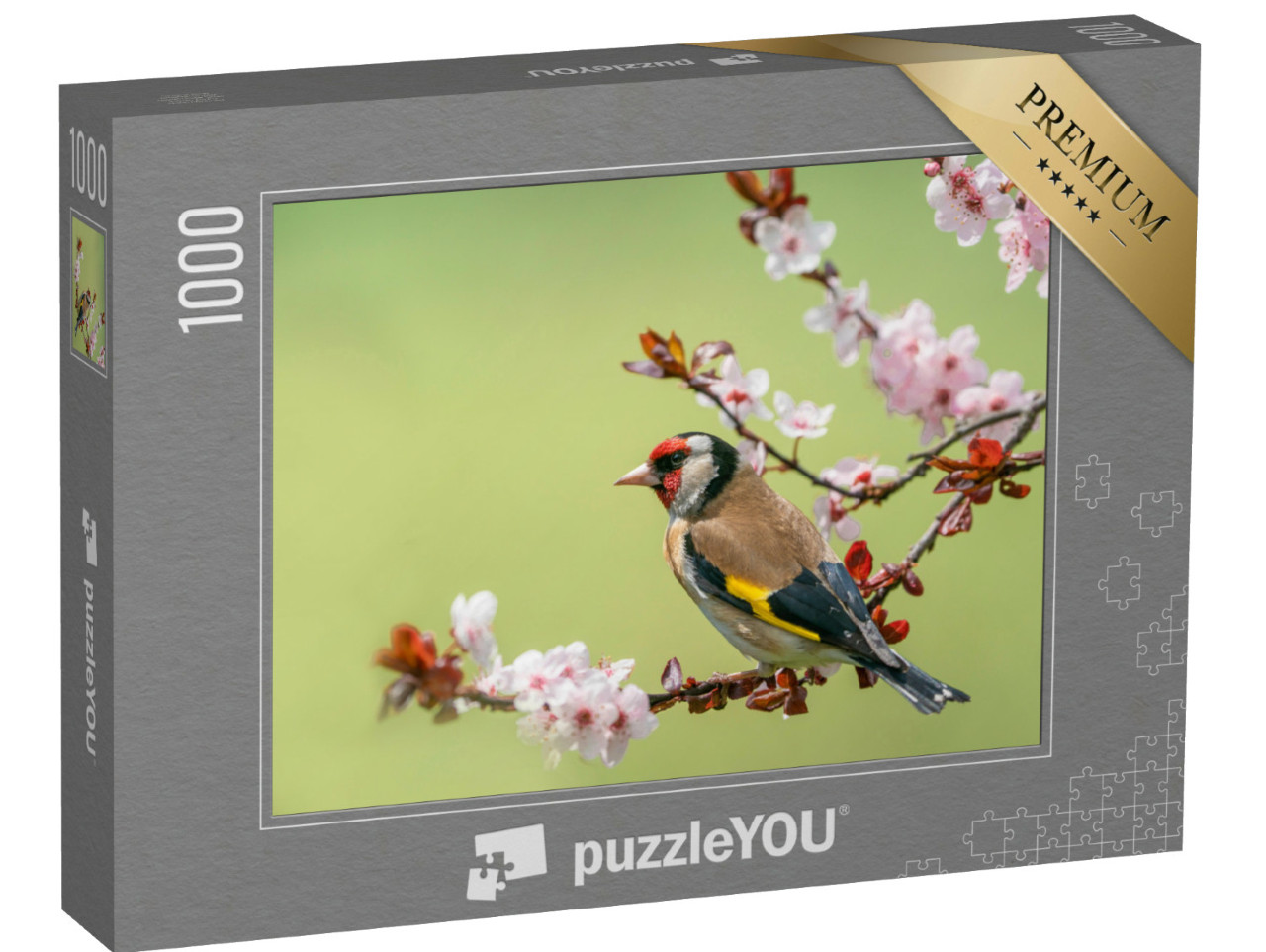 puzzle 1000 dílků „Barevný zlatohlávek na kvetoucí větvi“