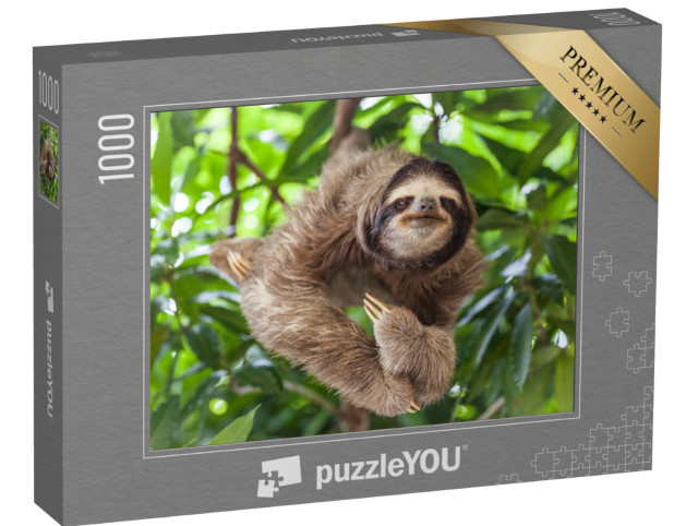 puzzle 1000 dílků „Lenochod vzhůru nohama na stromě“