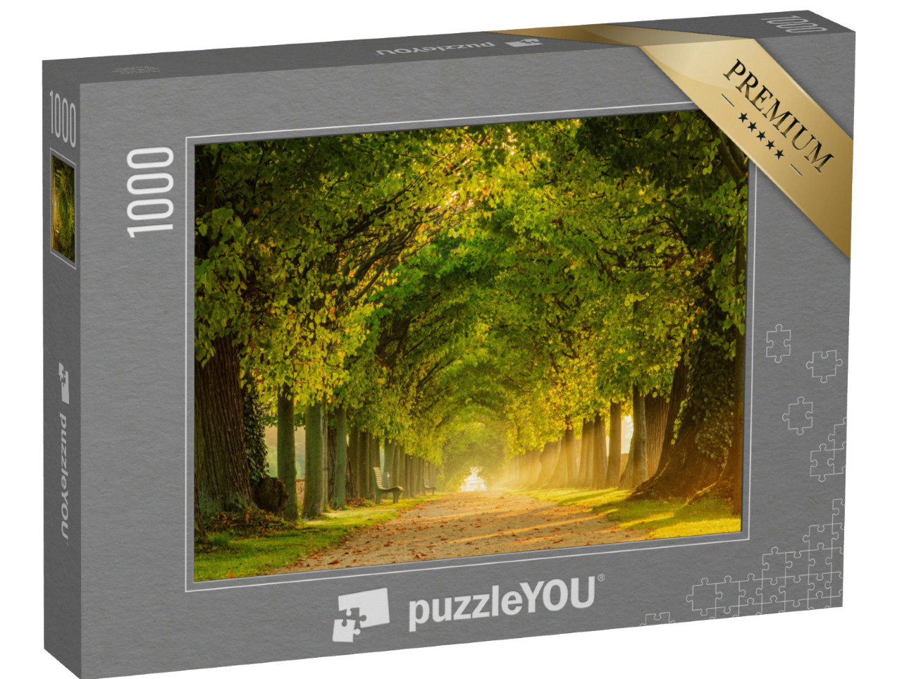 puzzle 1000 dílků „Park při východu slunce s lipovou alejí“
