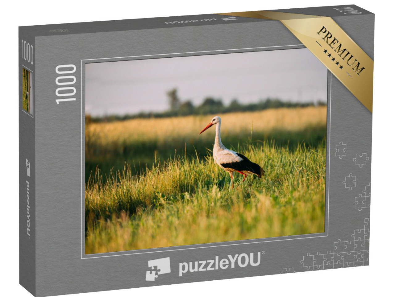puzzle 1000 dílků „Čáp bílý v zelené letní trávě“