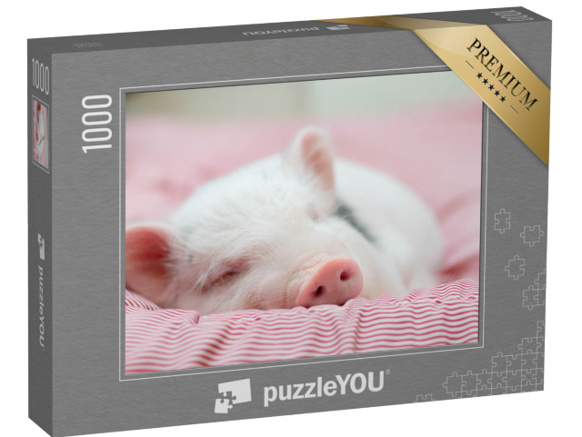 puzzle 1000 dílků „Malé prasátko si pohodlně zdřímlo“