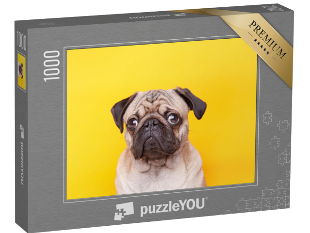 puzzle 1000 dílků „Mops se stříbrnýma očima a rozkošným obličejem“