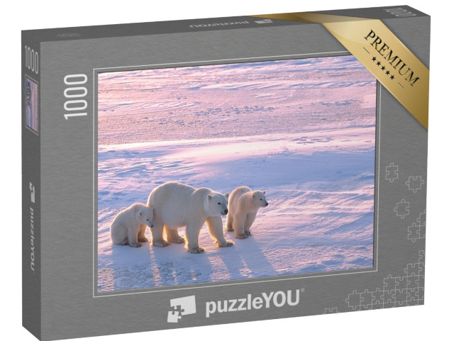 puzzle 1000 dílků „Lední medvěd s mláďaty v kanadské Arktidě“