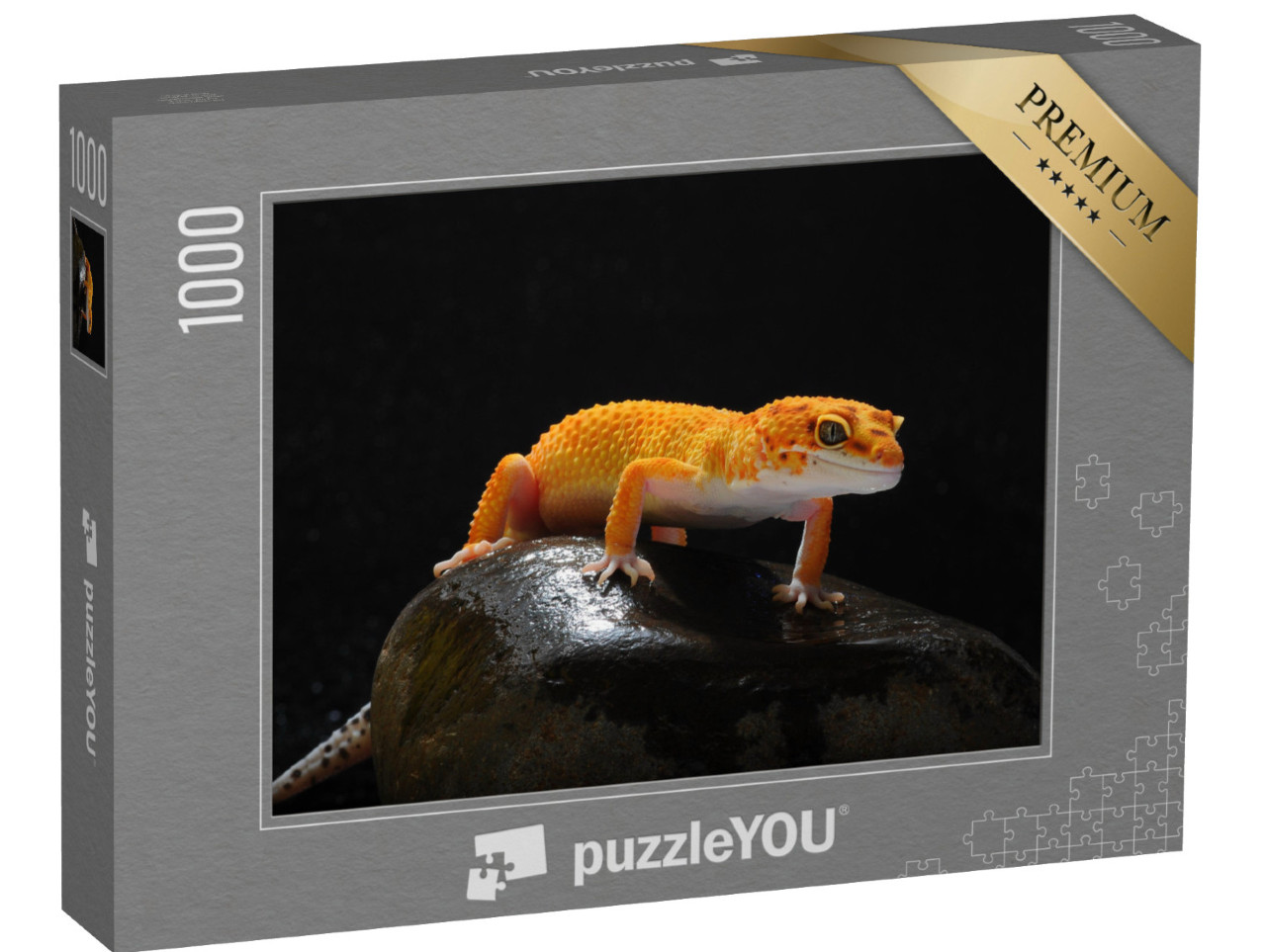 puzzle 1000 dílků „Gekon, ještěrka, gekon leopardí“